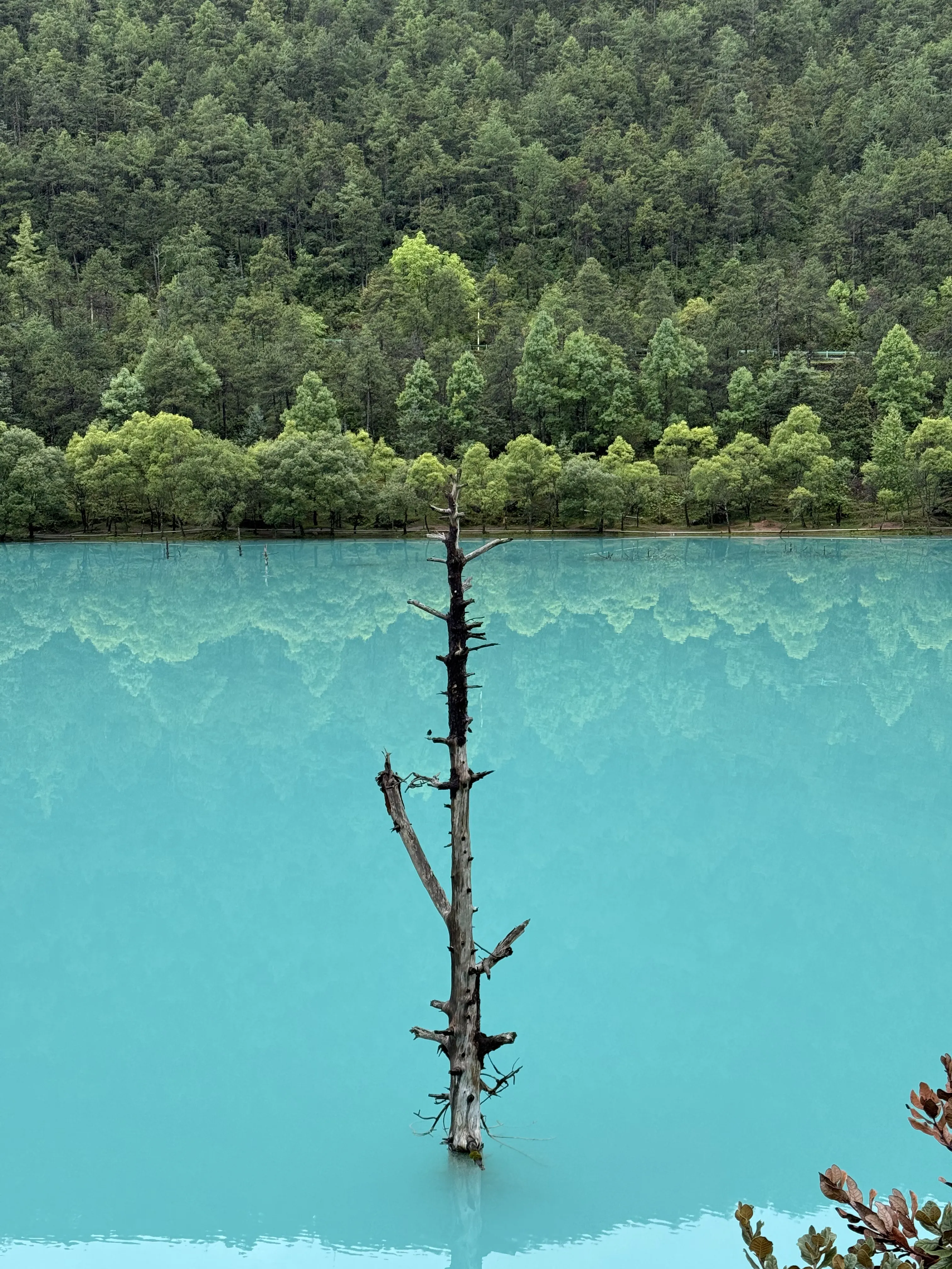 二〇二五 · 思想切片 https://assets.zouht.com/img/blog/4164-04.webp