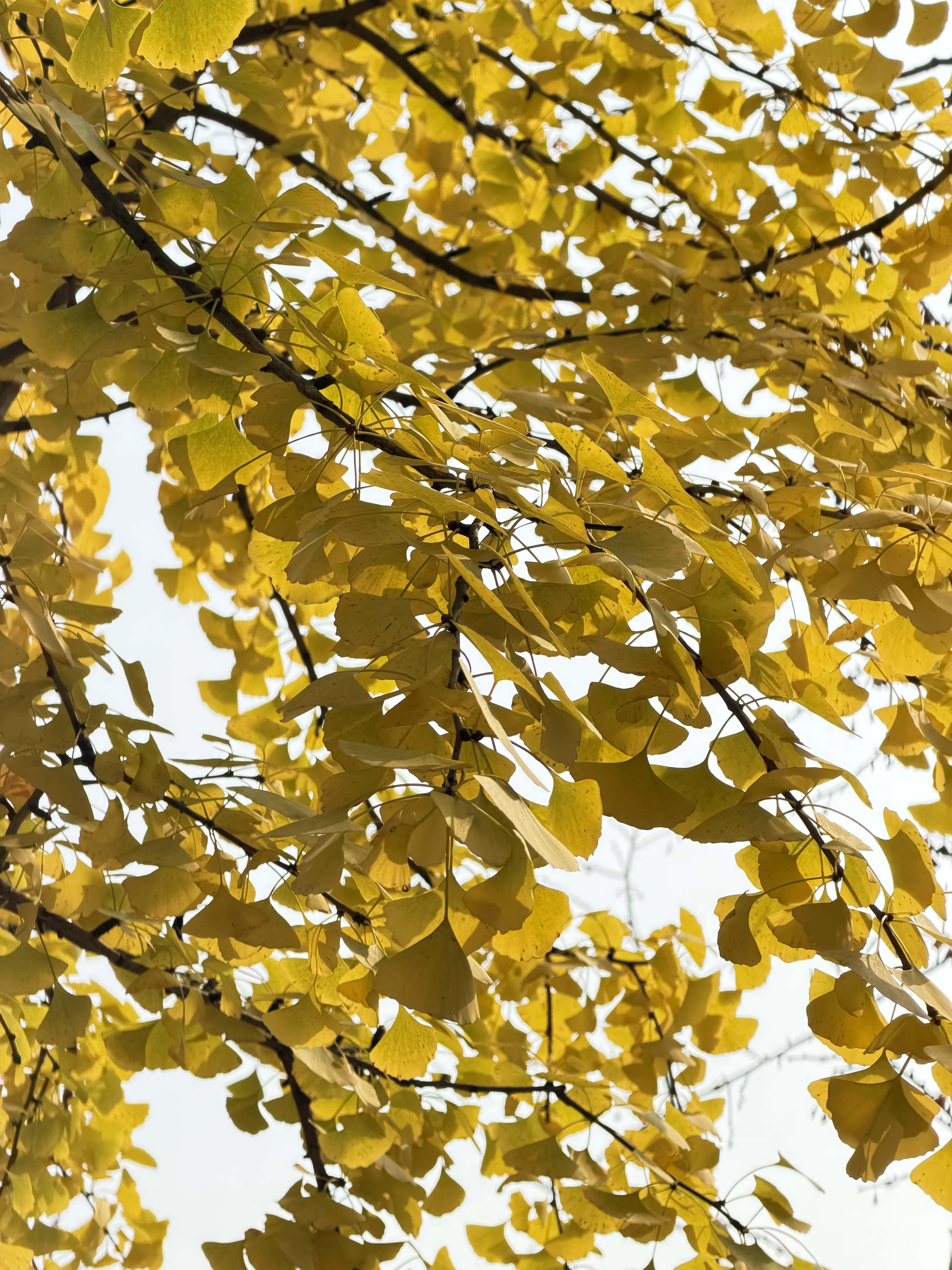 二〇二五 · 思想切片 https://assets.zouht.com/img/blog/4164-06.webp