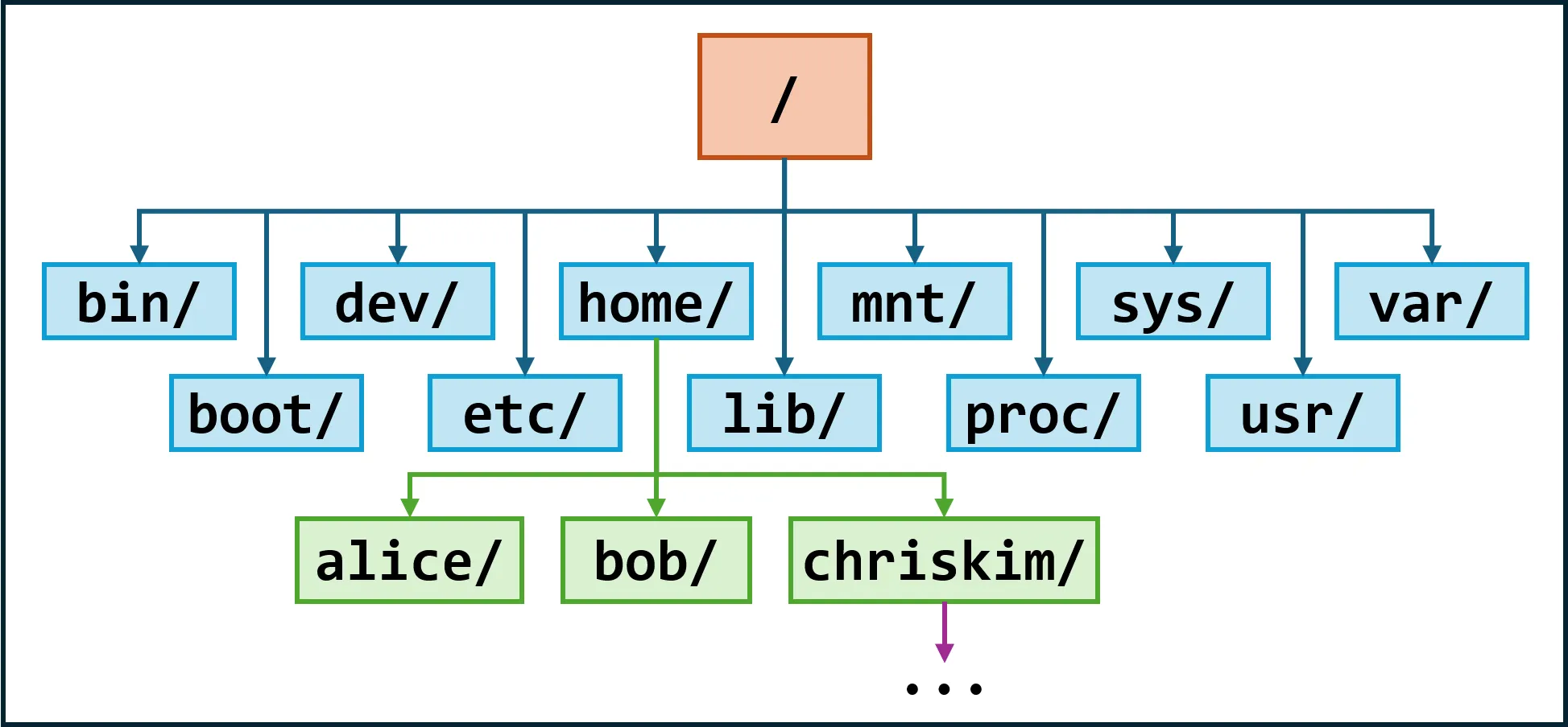 只学够用的 Linux:零基础最小入门教程 https://assets.zouht.com/img/blog/4399-08.webp